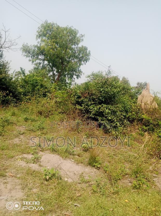 5000 Acres of Farm Land for Sale or Long Lease · Photo 5