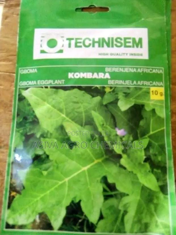 Gboma/ African Eggplant Seeds · Photo 1