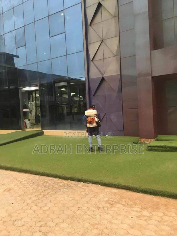 Professional Replites Fumigation Service · Photo 1