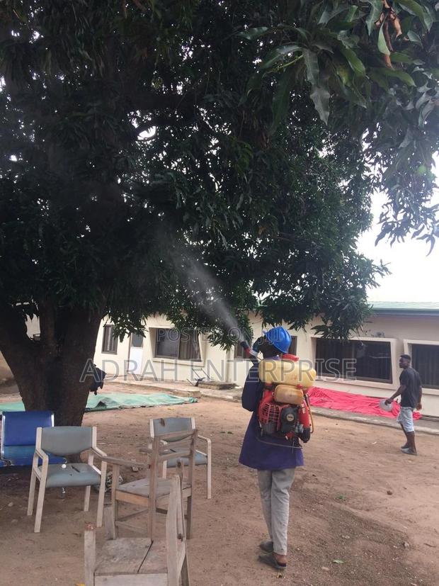 Professional Replites Fumigation Service · Photo 3
