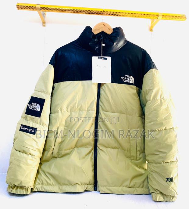 High Quality North Face Gucci Winter Jackets Available · Photo 1