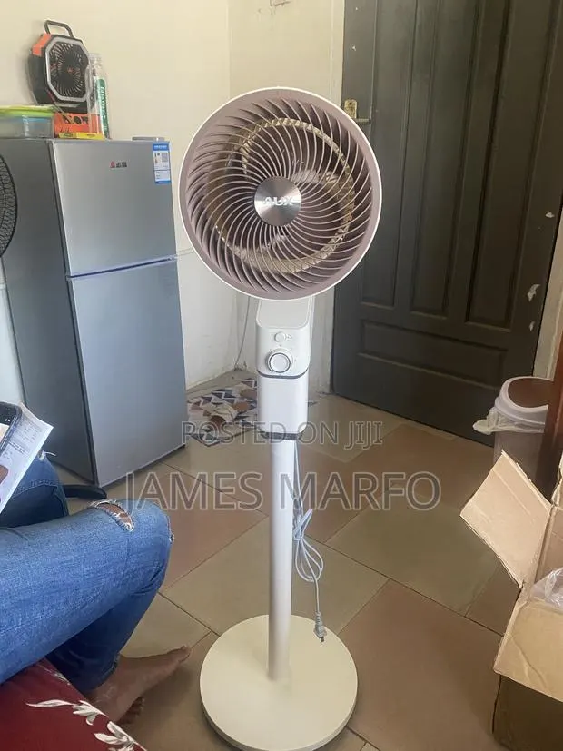 Standing Fan · Photo 1