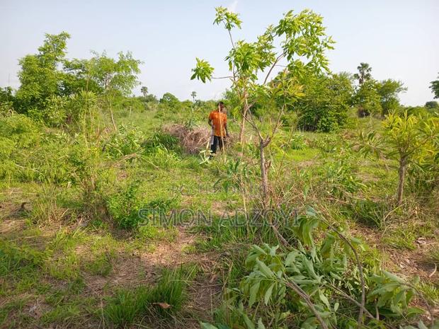 Land for Sale · Photo 4