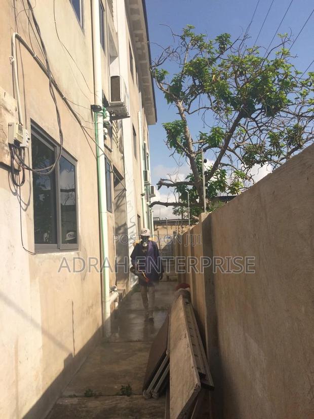 Best Bedbug Fumigations Ghana · Photo 3