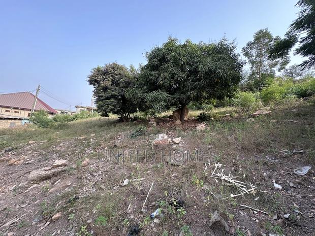 Free Hold 3 Plot of Land for Sale at Dansoman · Photo 5