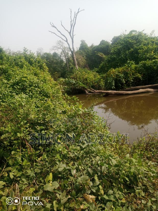 We Have Gold Mining Concession For Sale Of Partnership · Photo 1