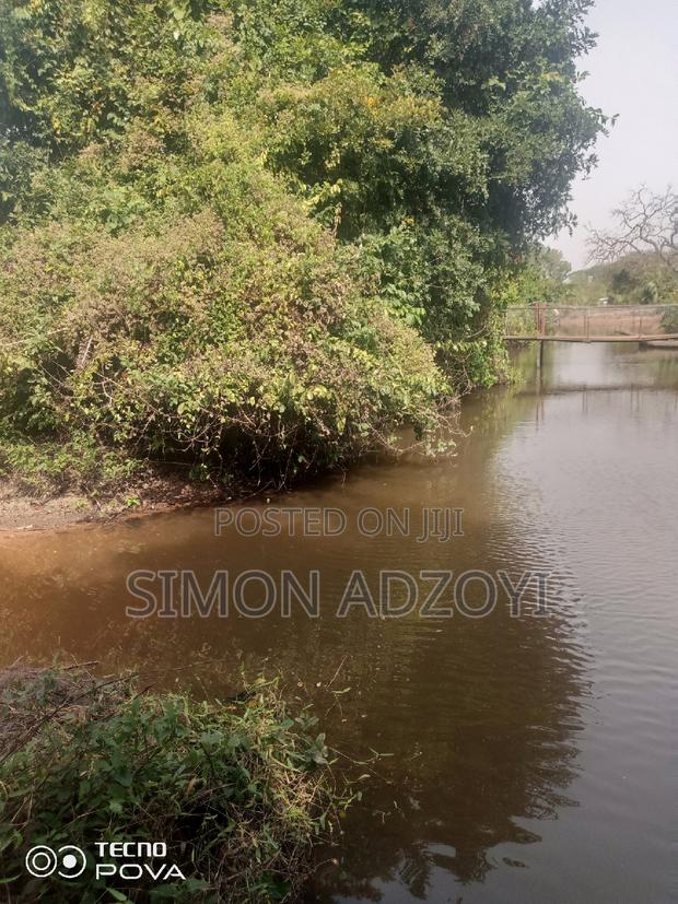 Gold Concession Land for Sale or Partnership · Photo 2