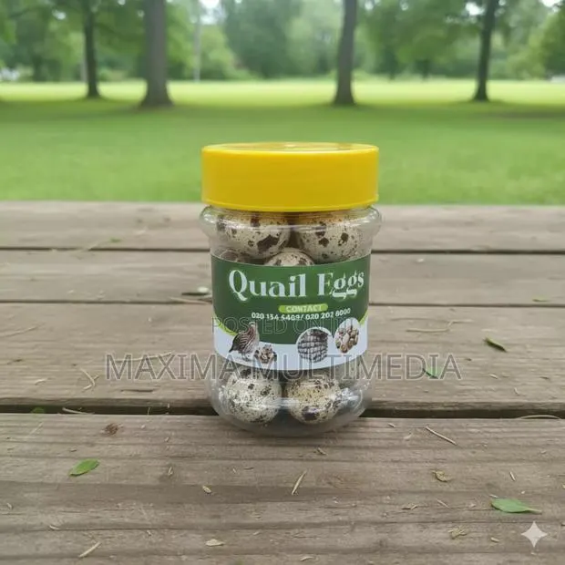 Quail Eggs · Photo 1