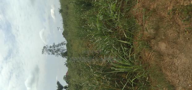 One Archer Plot of Land at Abrankese Areas · Photo 3