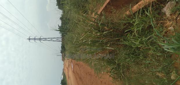 One Archer Plot of Land at Abrankese Areas · Photo 4
