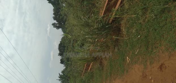 One Archer Plot of Land at Abrankese Areas · Photo 5