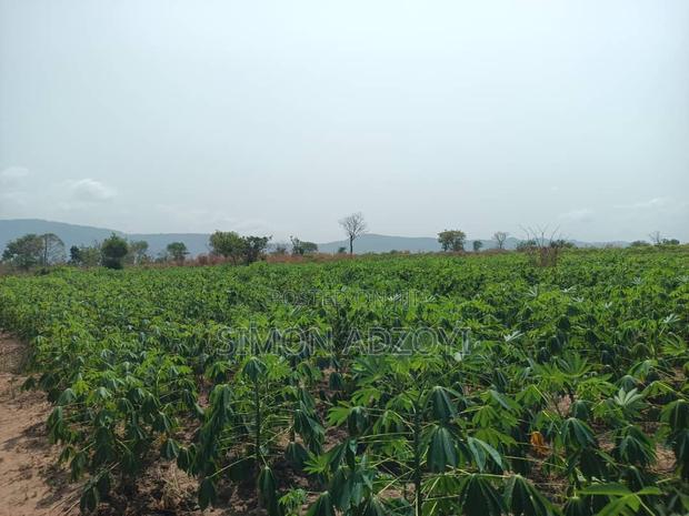 100,000 Acres of Farm Land for Sale or Lease · Photo 1