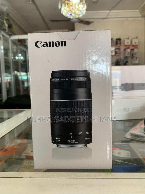 Canon Ef 75-300mm Lens · Photo 1