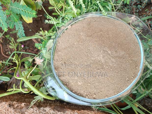 Undiluted Ambunu Powder Hair Conditioning and Detangling · Photo 3