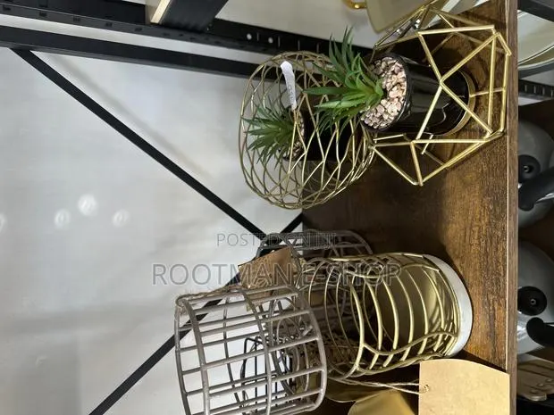 Gold-Colored Geometric Wire Planters Containing Artificial Succulent · Photo 1