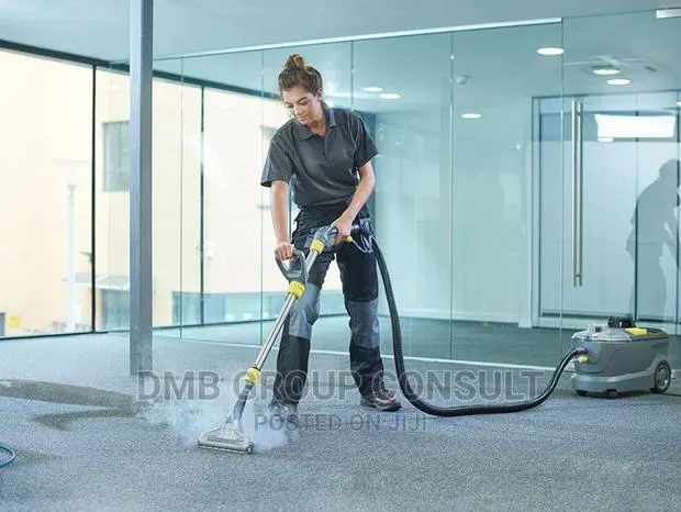 Professional Cleaners 4U · Photo 1