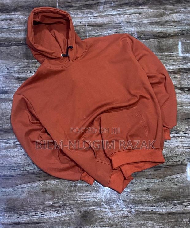 Original Plain Hoodies Available in Stock · Photo 6