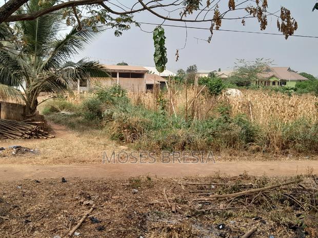 Commercial Plot Near Sunyani Abesim · Photo 3