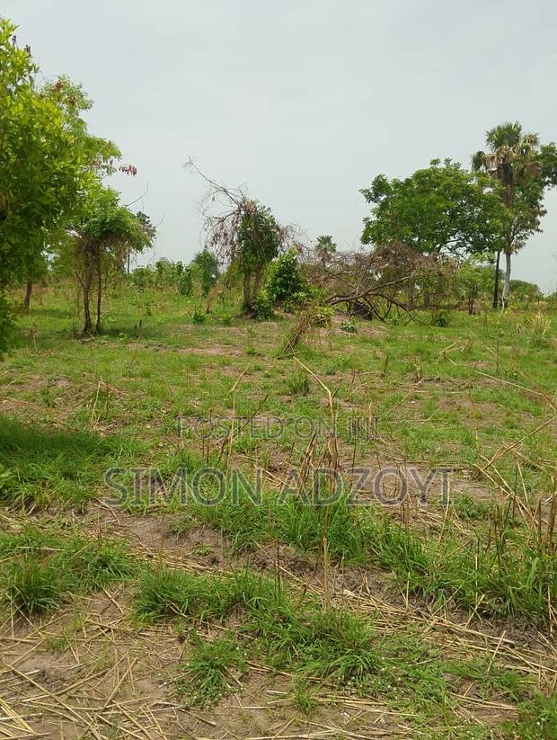 70,000 Acres of Farm Land for Long Term Lease · Photo 2