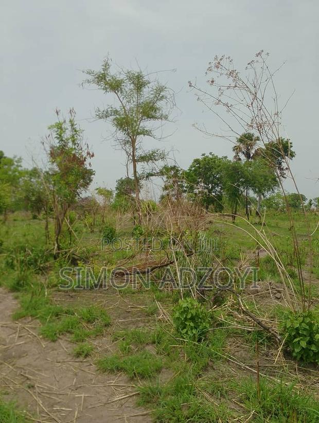 70,000 Acres of Farm Land for Long Term Lease · Photo 3