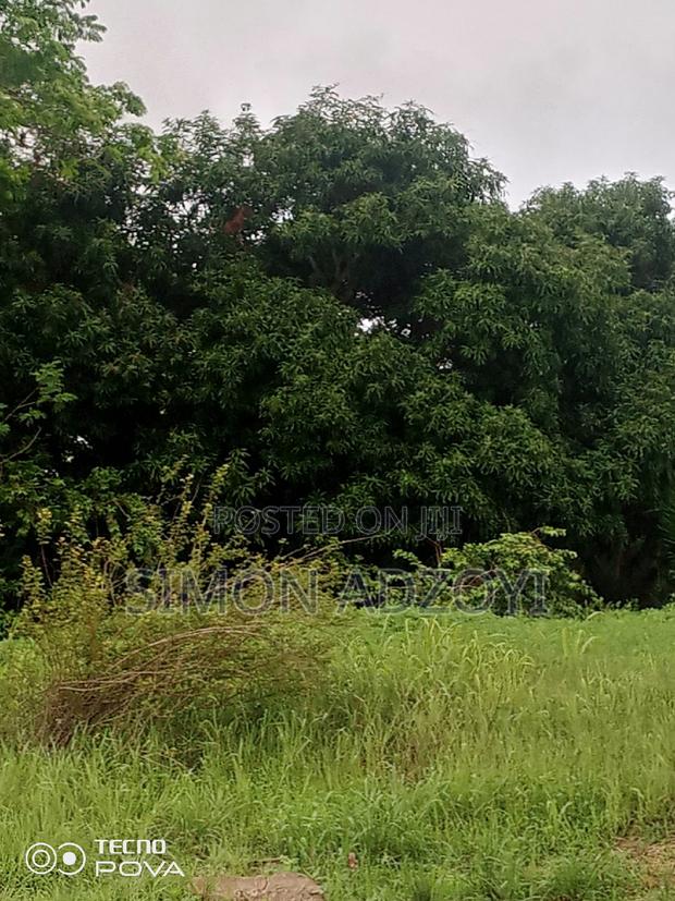 2 Acres of River Front Land · Photo 4
