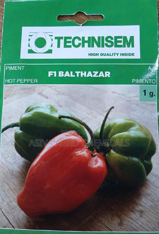 Pepper Seeds · Photo 3