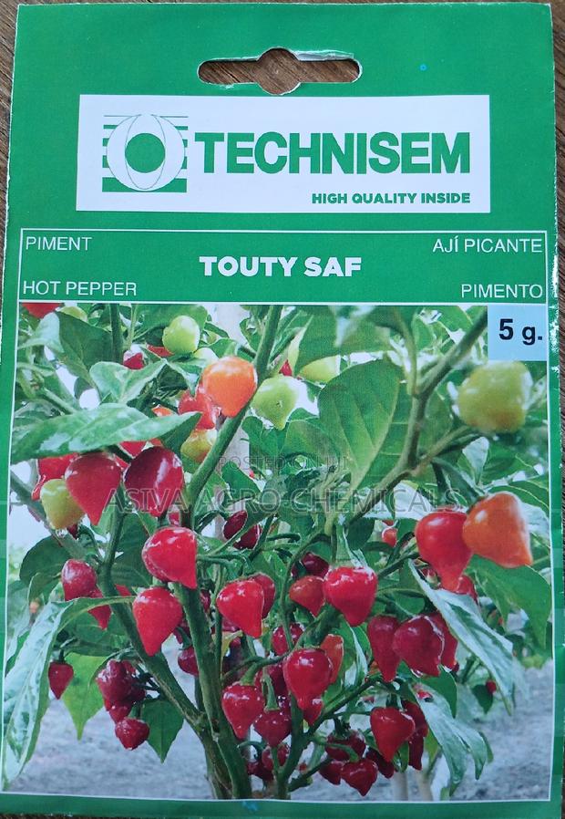 Pepper Seeds · Photo 4