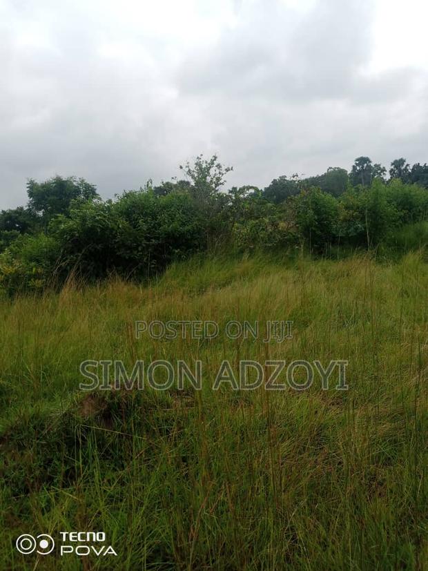 Farm Land for Lease · Photo 3
