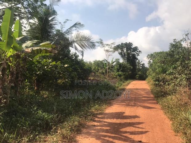 20,000+ Farm Land Registered in Asamankese for Sale Freehold · Photo 1