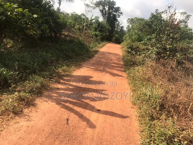 20,000+ Farm Land Registered in Asamankese for Sale Freehold · Photo 2