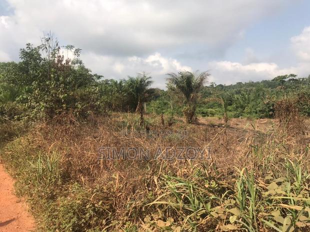 20,000+ Farm Land Registered in Asamankese for Sale Freehold · Photo 3