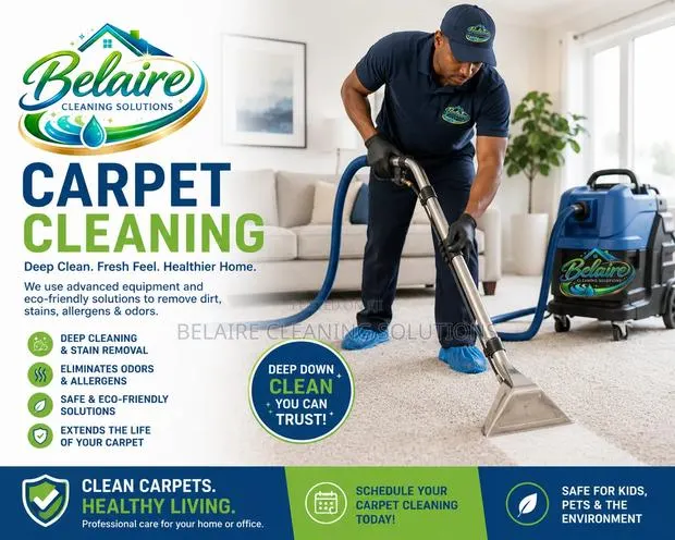 Carpet Cleaning Detailing · Photo 1