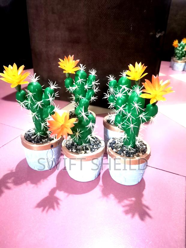 Potted Cactus Artificial (Promo Buy 2 Get 1 Free) · Photo 2