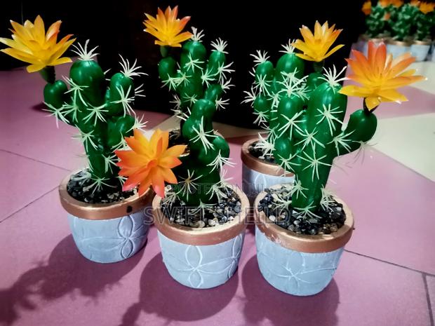 Potted Cactus Artificial (Promo Buy 2 Get 1 Free) · Photo 3