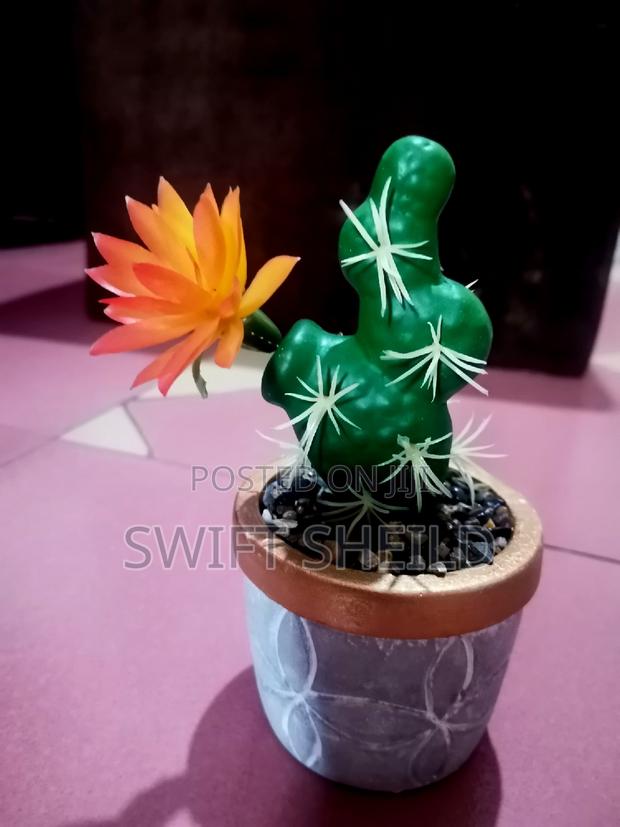Potted Cactus Artificial (Promo Buy 2 Get 1 Free) · Photo 4