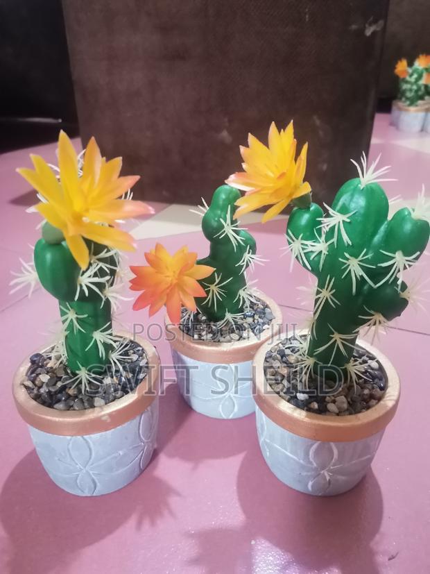 Potted Cactus Artificial (Promo Buy 2 Get 1 Free) · Photo 5