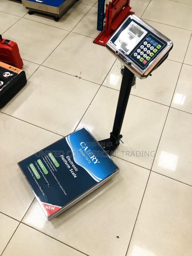 Electric Stainless Scale (Camry) · Photo 1