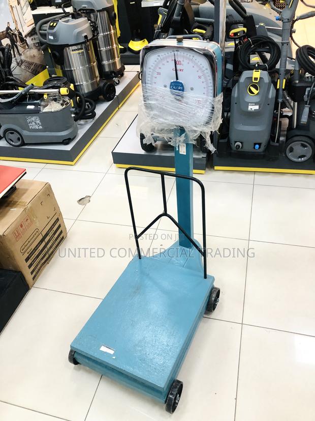 Scale (300kg Camry) · Photo 1