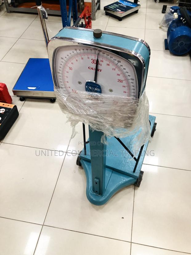 Scale (300kg Camry) · Photo 5