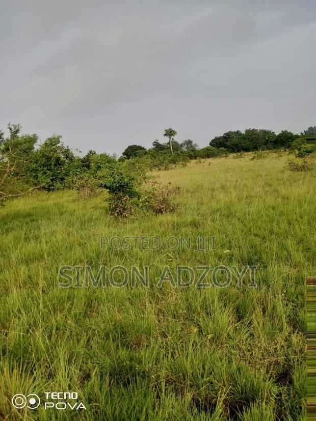 130,000 Acres of Farm Land for Sale or Lease · Photo 2