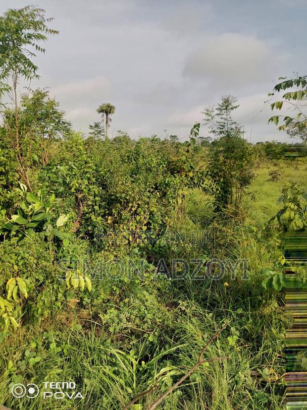 130,000 Acres of Farm Land for Sale or Lease · Photo 3