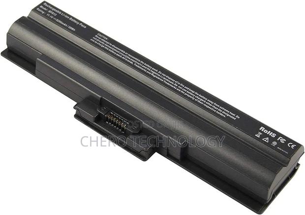 SONY Vaio Battery (Bps13) · Photo 1