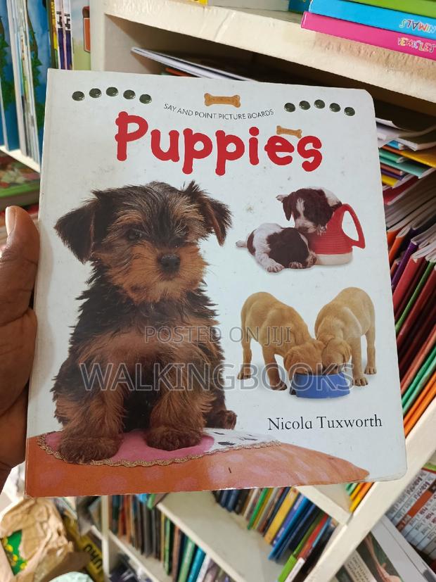 Exciting Boardbooks for Toddlers · Photo 1