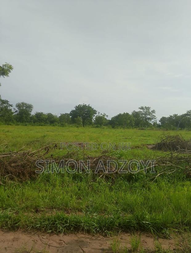 20,000 Acres of Farm Land for Sale