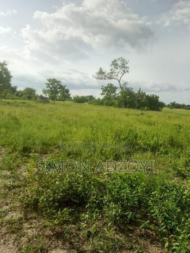 20,000 Acres of Farm Land for Sale · Photo 2