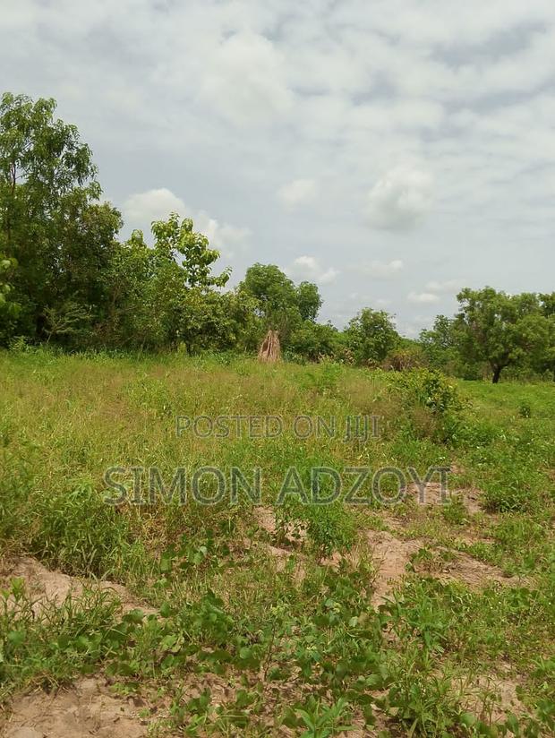 20,000 Acres of Farm Land for Sale · Photo 3