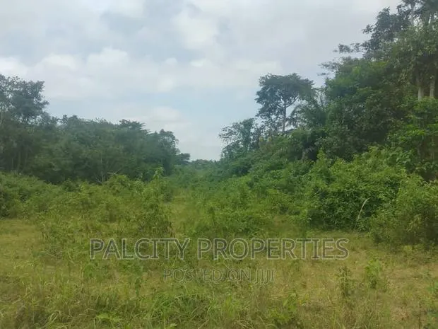 Over 100 Acre of Farm Lands for Sale · Photo 1
