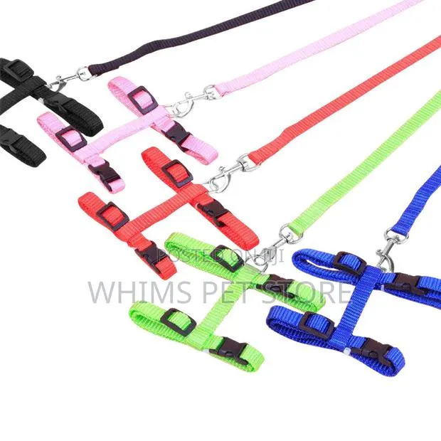 Cat Harness · Photo 1