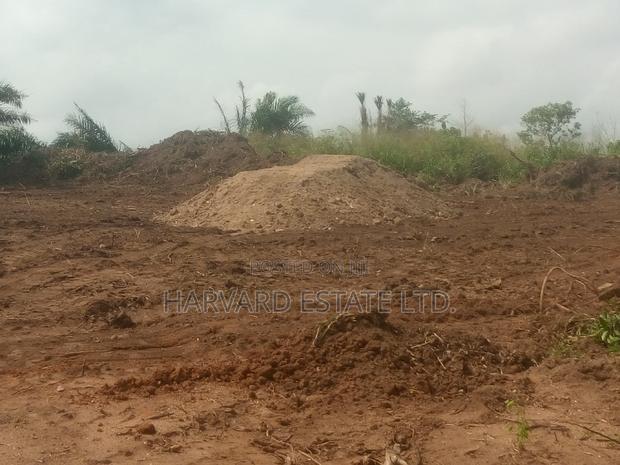 Plot of Land for Sale at Ejisu Abankro · Photo 3