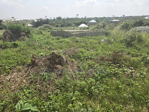 A Land at Antoa-Adesina for Sale · Photo 2